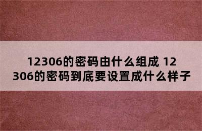 12306的密码由什么组成 12306的密码到底要设置成什么样子